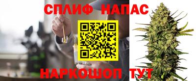 дурь Гатчина