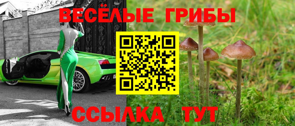 Галлюциногенные грибы ЛСД Тихорецк