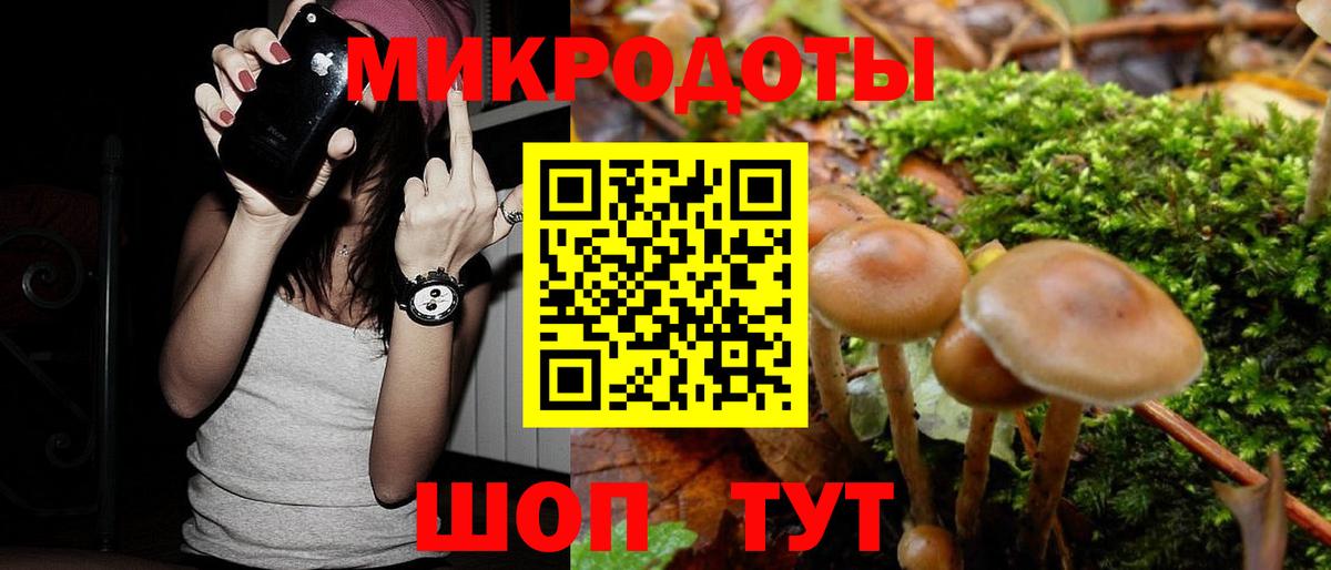Тихорецк  Галлюциногенные грибы GOLDEN TEACHER  Вход с VPN  Псилоцибиновые грибы мицелий 
